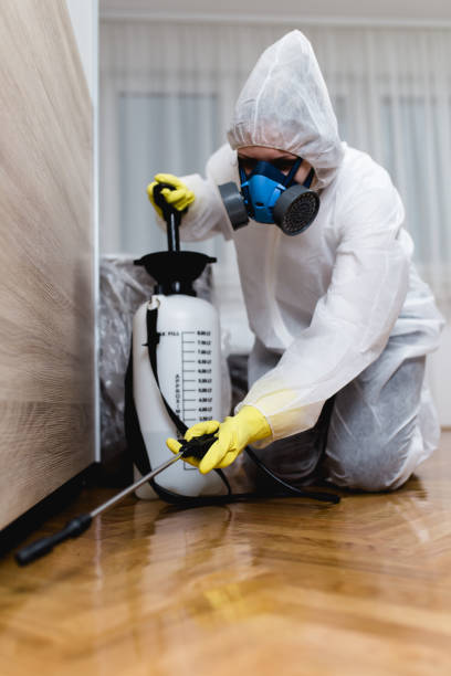 Best Real Estate Pest Inspections  in Winters, TX